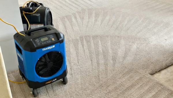 Why Carpet Cleaning Is Essential for Perth Homes